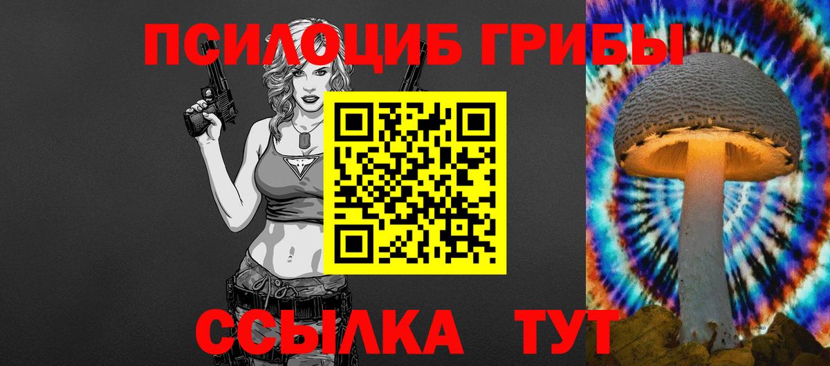 как найти   Псилоцибиновые грибы Psilocybine cubensis  Вход с VPN  Электросталь  Галлюциногенные грибы ЛСД 